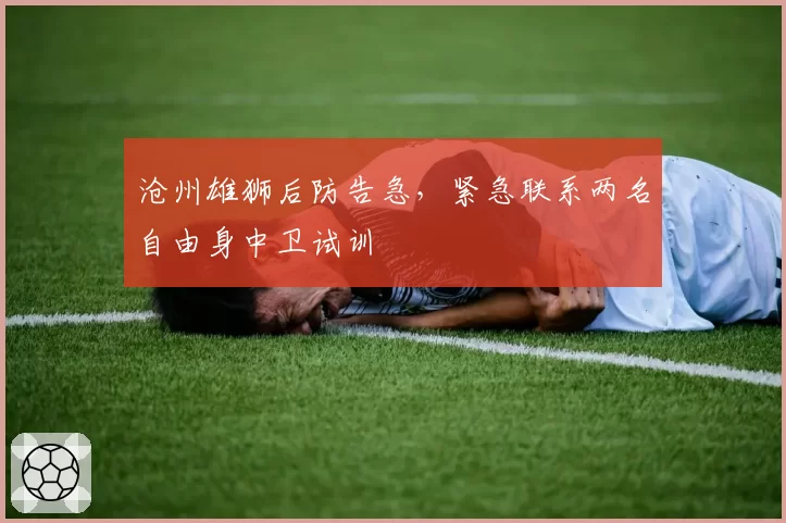 沧州雄狮后防告急，紧急联系两名自由身中卫试训