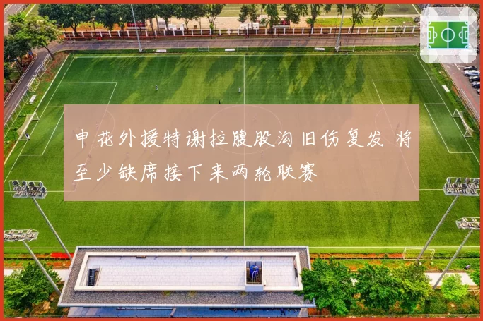 申花外援特谢拉腹股沟旧伤复发 将至少缺席接下来两轮联赛