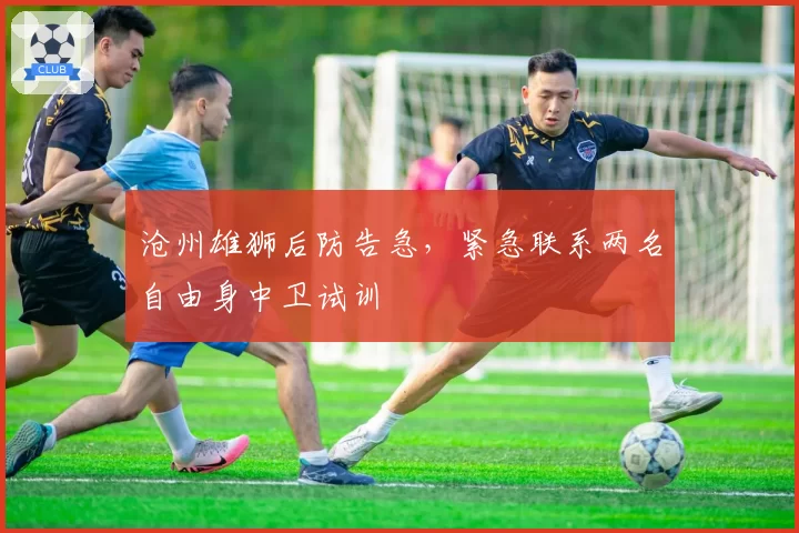 沧州雄狮后防告急，紧急联系两名自由身中卫试训